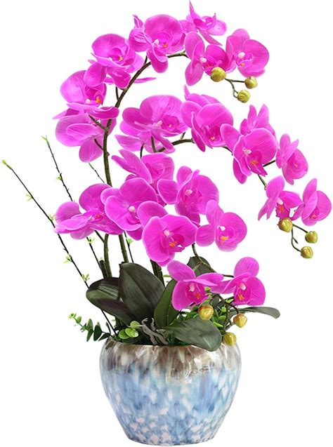 Amazon de HDSSW kunstblumen deko Künstliche Orchidee Bonsai Blumen