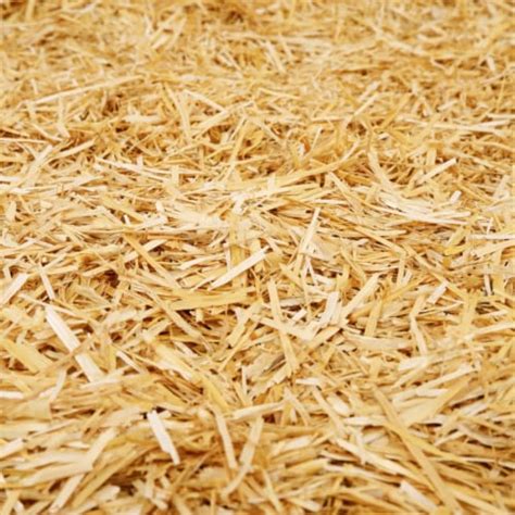 Healthistraw Petstraw Mini Premium Wheat Straw Bedding With Multiple