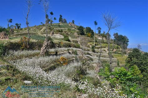 Kathmandu Valley Rim Trekking