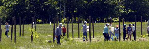 Ground School In The News - Gathering Ground