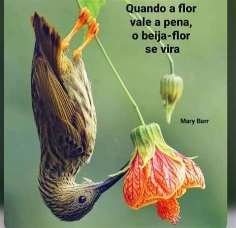 Pin By Denise Liborio On Frases Botanical Instagram Flora