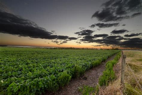 Premium Photo | A farm field with a sunset in the background