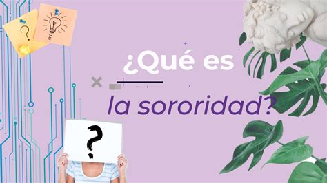 Sororidad Vs Solidaridad Femenina Claves Diferenciales