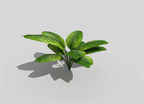 3d Model Low Poly Tropical Foliage Vr Ar Low Poly Cgtrader