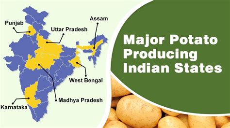 Top Potato Producing States In India India World Map India Map