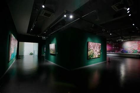 艺评丨范迪安：“新时代的桃花源——黄礼攸作品展”亮相无锡凤凰艺都美术馆 湘江深度 新湖南