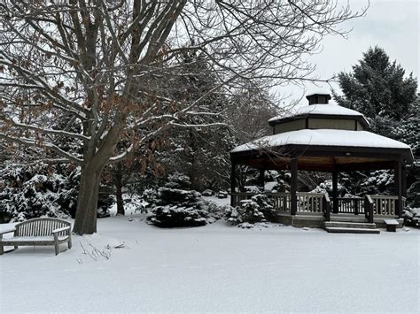 The Webster Arboretum At Kent Park