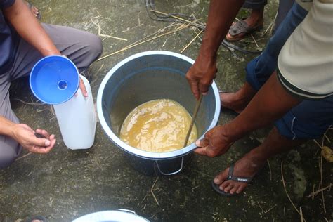 Sinau Kimia Pemanfaatan Limbah Tahu Ampas Dan Cair Sebagai Bahan Dasar Pembuatan Pupuk