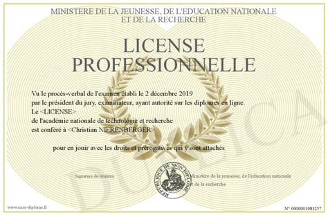 License Professionnelle