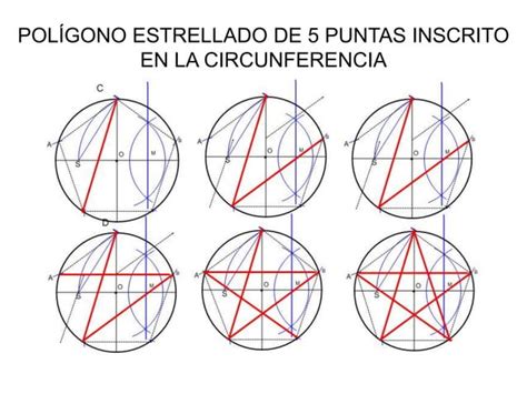 Polígonos regulares inscritos en la circunferencia lámina 5 6 7 8 PPT