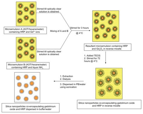 Diagrammatic Representation For The Synthesis Of Silica Nanoparticles Download Scientific