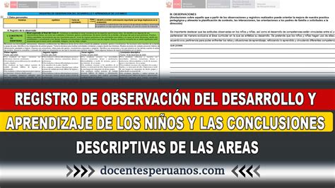 Registr De Observaci N Del Desarrollo Y Aprendizaje De Los Ni Os Y Las