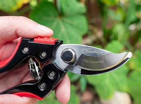 AlpineReach Pro Bypass Pruning Shears For Gardening 8 With Sharp