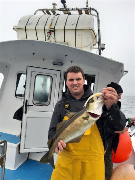 Speed Jigs Make Quick Work Of Pollack On Galway Bay Fishing In