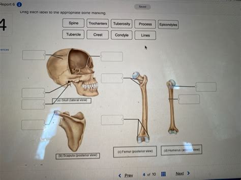 Solved Report Saved Drag Each Label To The Appropriate Chegg