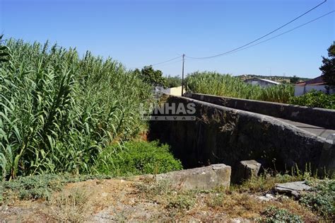 Elvas Falta de limpeza junto à Ponte das Hortas gera preocupação