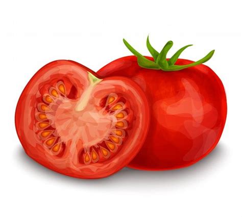 Tomate Vector Gratuito Tomates Dibujo Tomate Semillas De Tomate