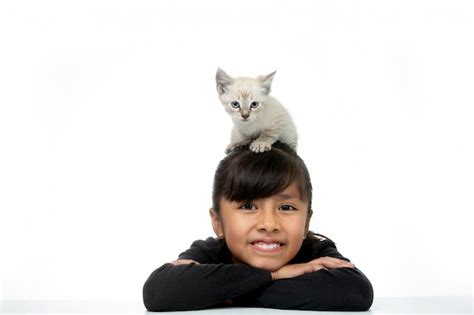 Premium Photo Little Girl Smiling With Kitty White