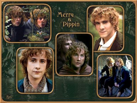 Lord Of The Rings Wallpaper Merry Pippin Lord Of The Rings Merry