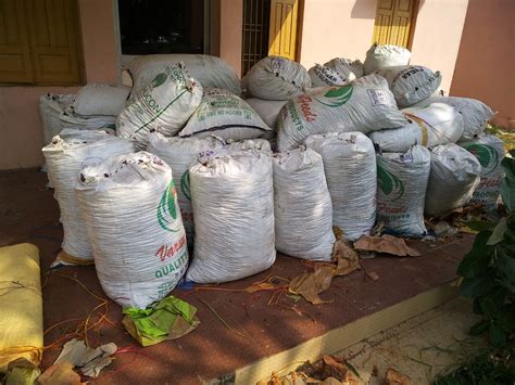 Ganja Worth Rs Crore Seized In Odishas Malkangiri Held Kalingatv