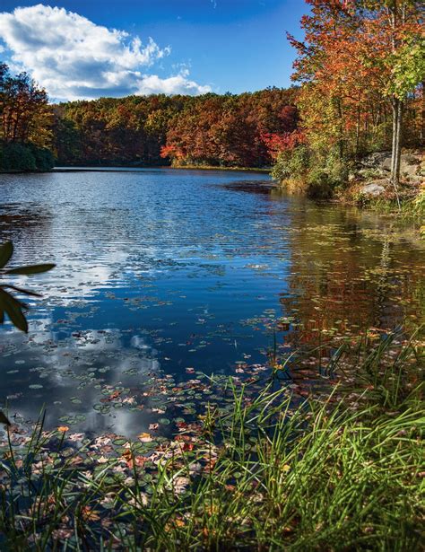 West Virginia Lake Wv Free Photo On Pixabay Pixabay