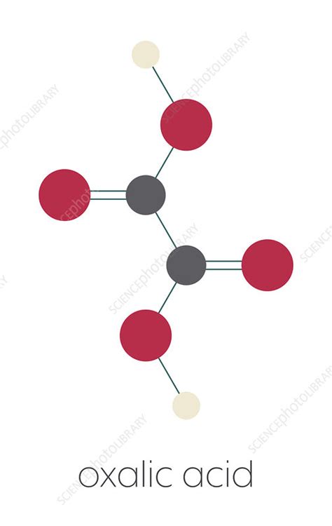 Oxalic Acid Molecule Stock Image C0457846 Science Photo Library