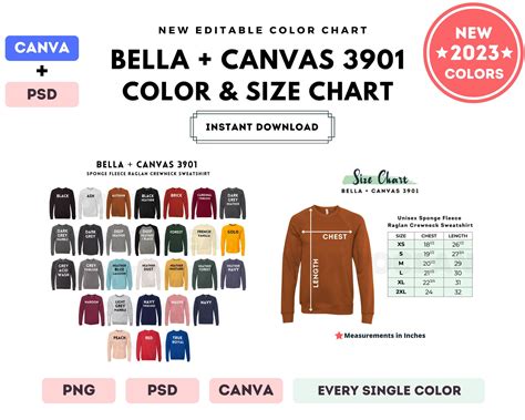 Bella Canvas Color Size Chart Editable Canva Template Etsy