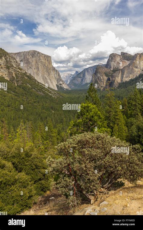 Famous Tunnel View In Yosemite National Park Usa Stock Photo Alamy