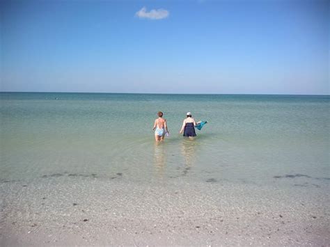 Crescent Beach Siesta Key 2019 All You Need To Know Before You Go With Photos Tripadvisor