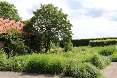 Hummelo Le Jardin De Piet Oudolf La Terre Est Un Jardin