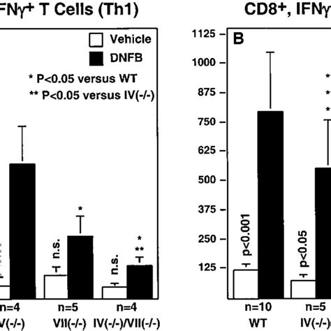 In Vivo Expansion Of Th1 And Tc1 Lymphocytes Th1 And Tc1 Cells Were