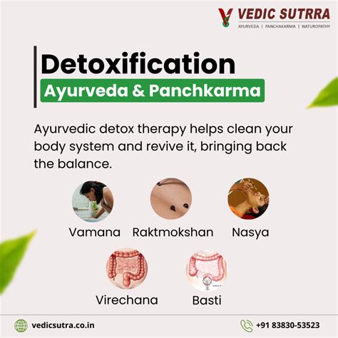 Detoxification In Ayurveda Vedic Sutrra Wellness Center