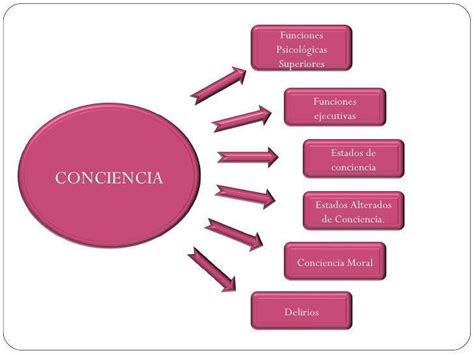 Mapa Conceptual Sobre La Conciencia Brainlylat