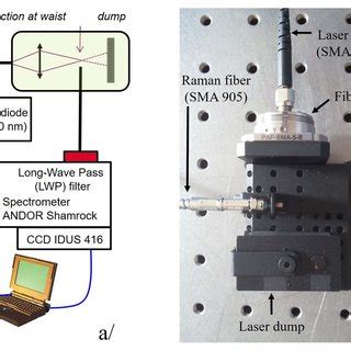 Multitrack Raman Setup Used For The Proof Of Concept Of Multigas Raman