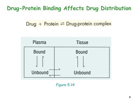 Ppt Drug Protein Binding Powerpoint Presentation Free Download Id3200802