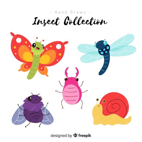 Premium Vector Colorful Hand Drawn Insect Collection