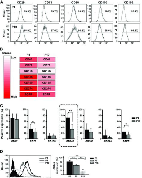 Screening For Cell Surface Proteins In Human Umbilical Cord