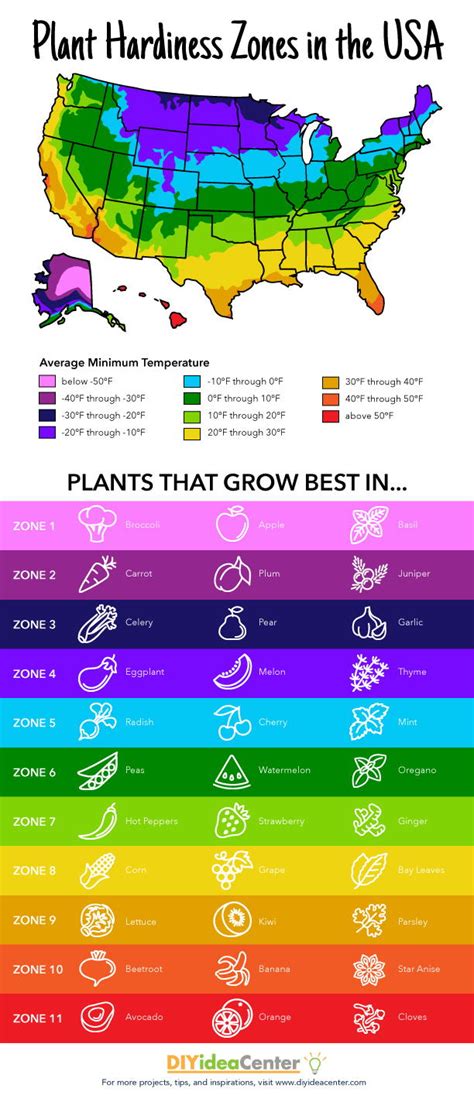 Plant Hardiness Zones Free Printable