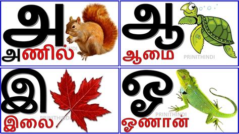 Uyir Ezhuthukal Learn Tamil Alphabets அ அமம ஆ ஆட அ ஆ இ ஈ