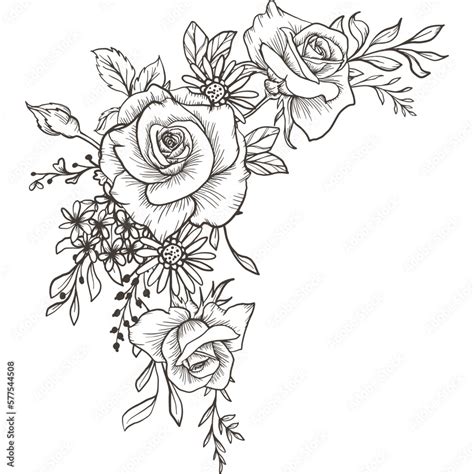 Rose Illustration Graphic Rose Graphic Rose Illustration Flower