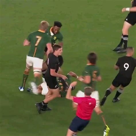 Cheslin Kolbe with some amazing skill against the All Blacks : r/sports