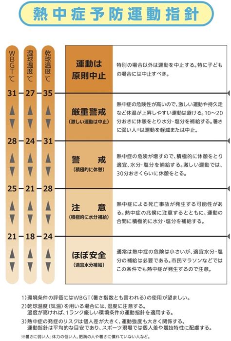 スポーツ時の熱中症を防ぐために知っておきたいこと Sportie [スポーティ]