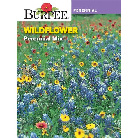 Burpee Perennial Mix Wildflower Flower Seed 1 Pack