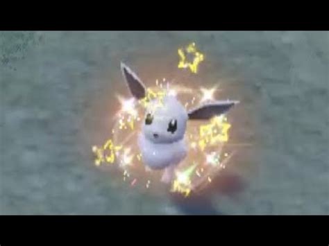 Shiny Eevee Mass Outbreak Pokemon Violet Youtube