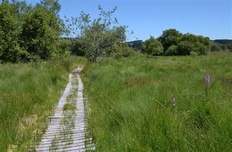 Percez les mystères de la tourbière du Longeyroux Tourisme Corrèze