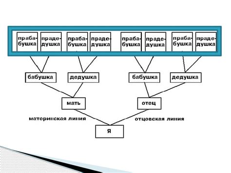 Презентация "Моя родословная"(2 класс, окружающий мир). Автор Комарова ...