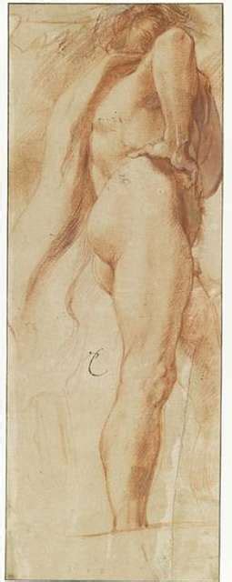 Peter Paul Rubens Study Of A Nude Man Seen From Behind And From Below