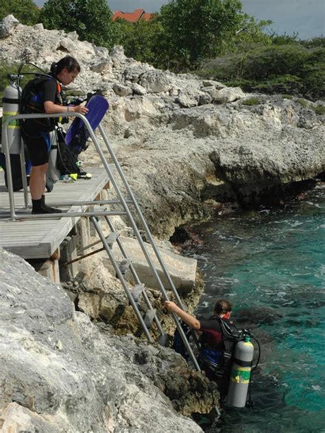 Noaa Ocean Explorer Bonaire Exploring Coral Reef Sustainability