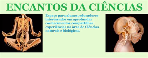 Encantos Da Ci Ncias Power Point Para O Ano M Todo Cient Fico