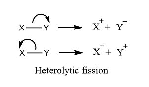 Homolytic and Heterolytic Fission: Definitions, Examples, Differences, Solved Examples